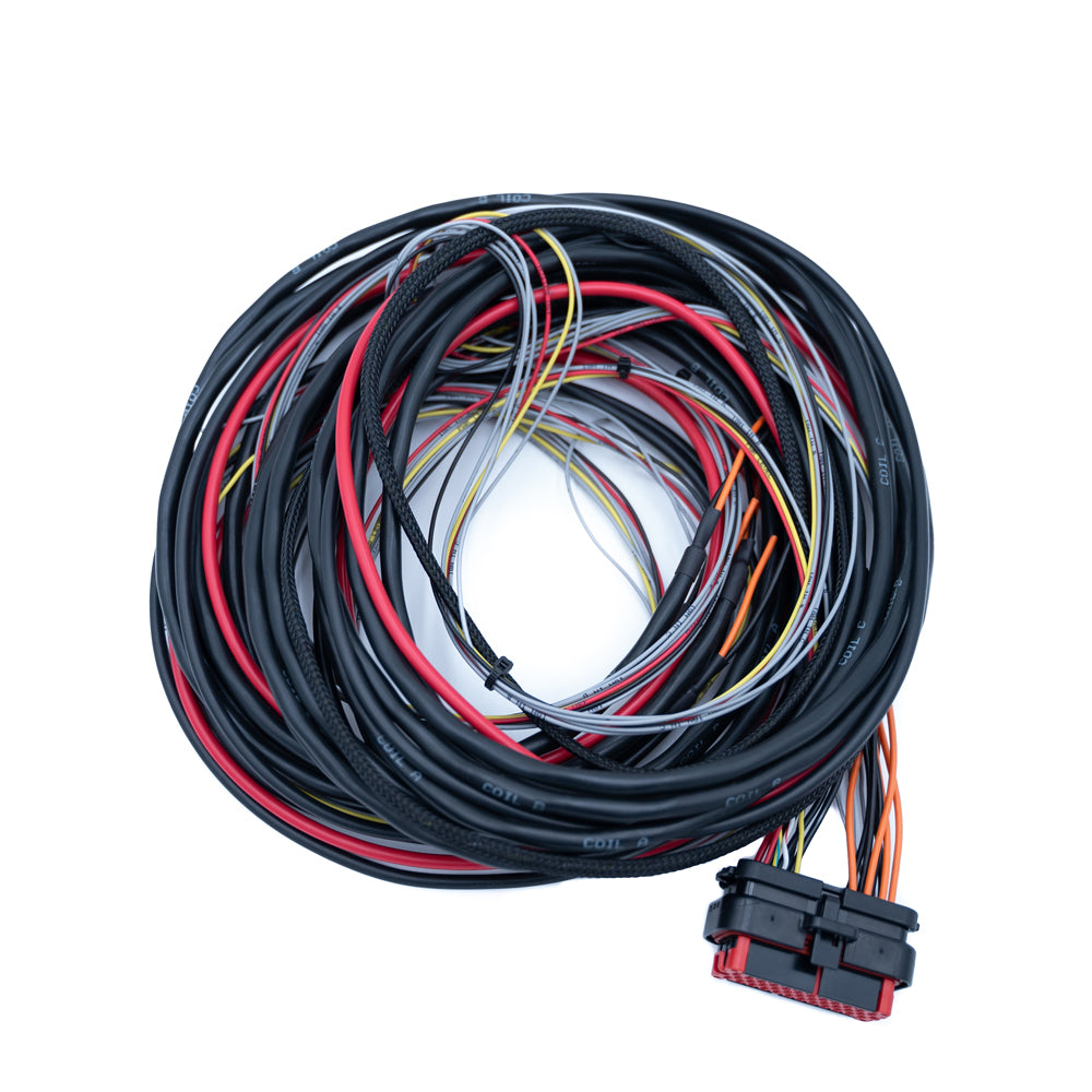 FTSPARK-4 Wiring Harness for CDI Ignition Module