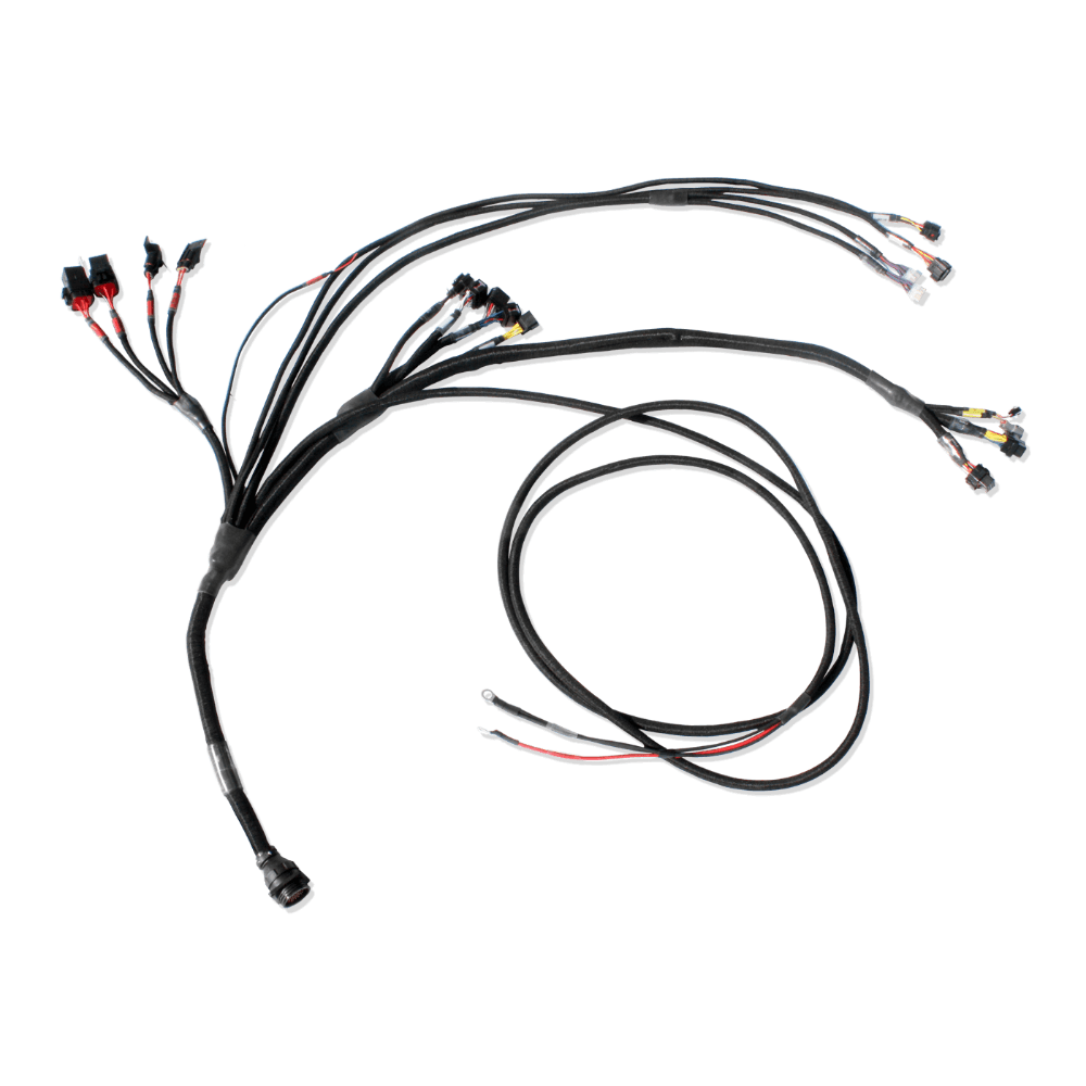 Pro600 Wiring Harness for FT600 ECU on V8 Engines
