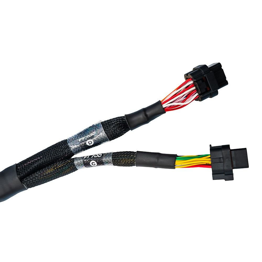 Unterminated wiring harness to install the FT700 ECU - customized engine management system installation, C and D connector.