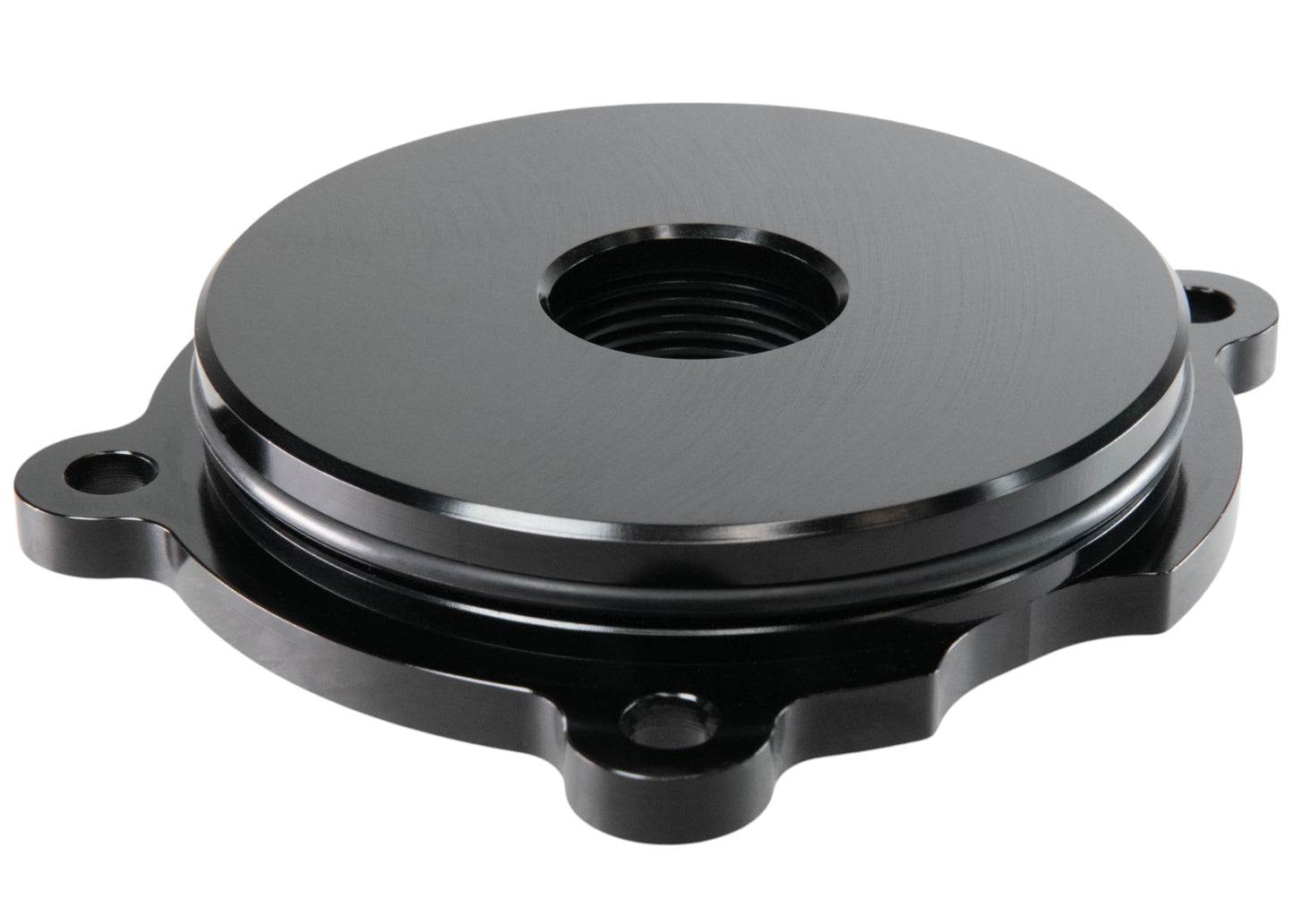 Coyote Electric Water Pump AN Fitting Kit - Motion Raceworks