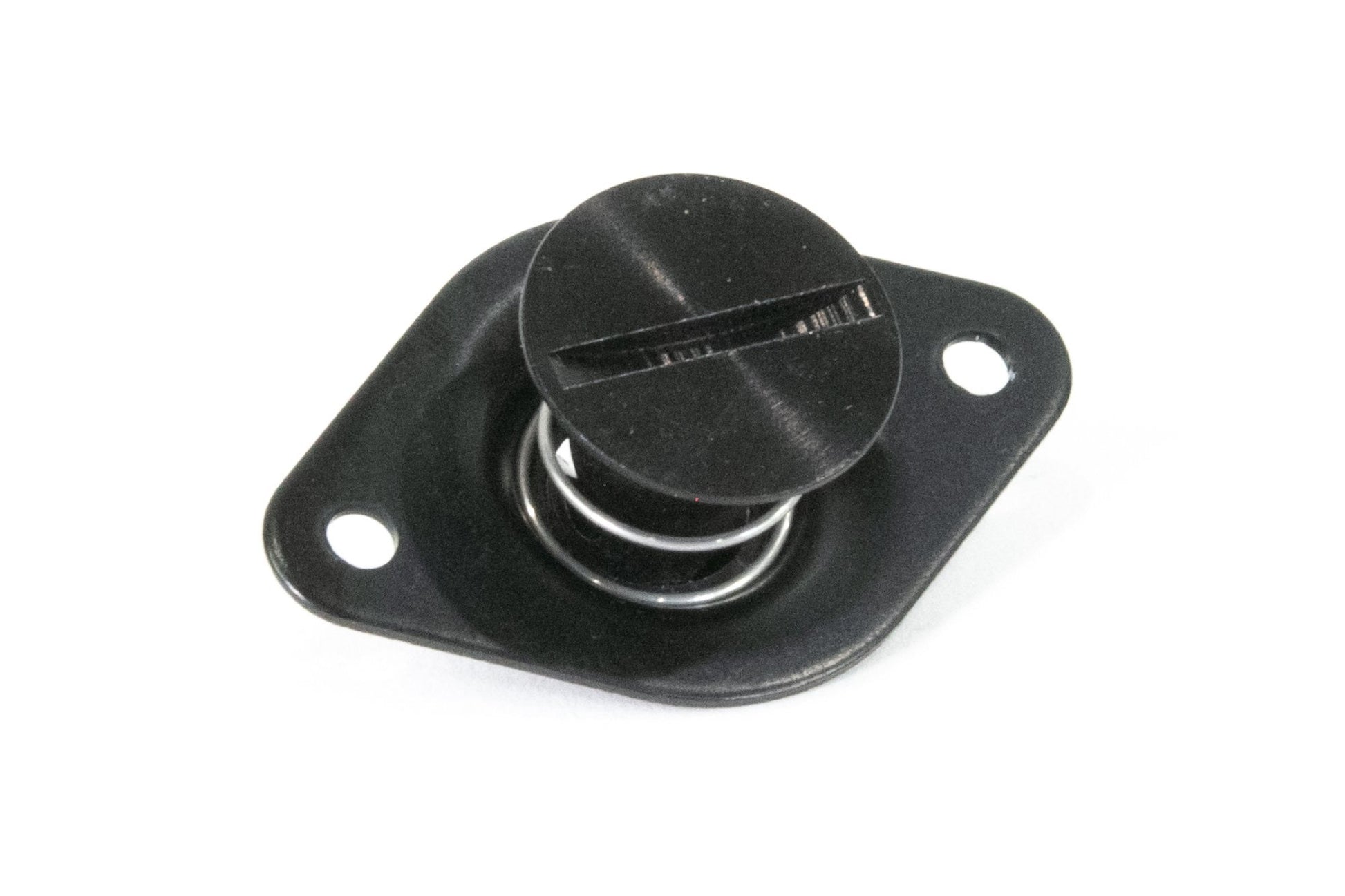 Motion Raceworks 1999-2004 New Edge Ford Mustang Dzus Hood Rails (44.25") (Black Anodized)-Motion Raceworks-Motion Raceworks